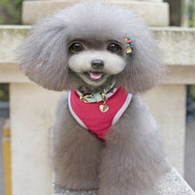 Load image into Gallery viewer, Adidog atléta
