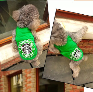 Starbucks kutya póló